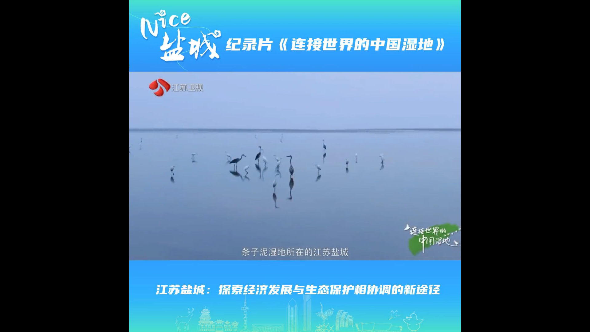 盐城生态经济双赢之路！探索湿地保护与发展的中国方案